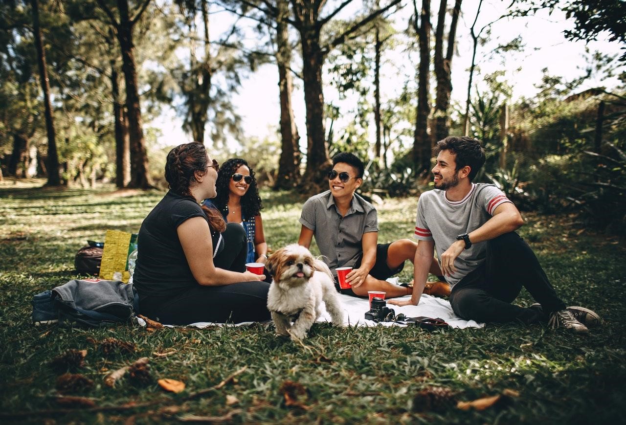 weekend destress picnic